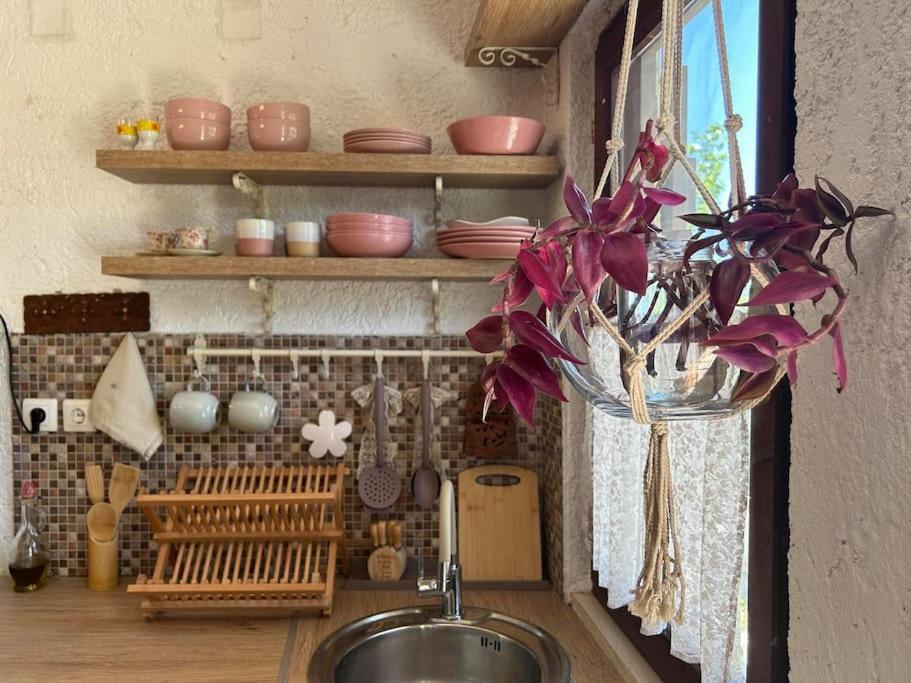 Aristea'S Home Arkalochórion Zewnętrze zdjęcie